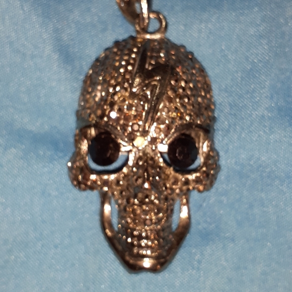 Black Skull Stainless Steel Necklace- Halloween - Picture 3 of 6